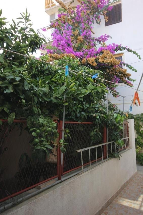 Apartments Zoki - Great Location Close To The Sea Vis Exterior photo